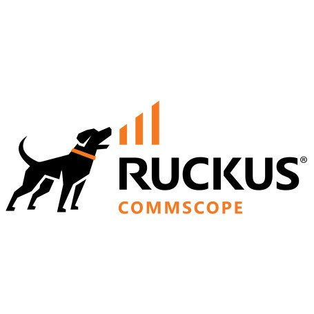 RUCKUS Networks WatchDog Remote Support, 3Y 1 licenza/e 3 anno/i (801-8200-N-3)