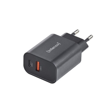Intenso 7803010 adattatore e invertitore Interno 30 W Nero