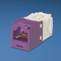 Panduit Copper Jack Module Violet (CJ688TGVL)