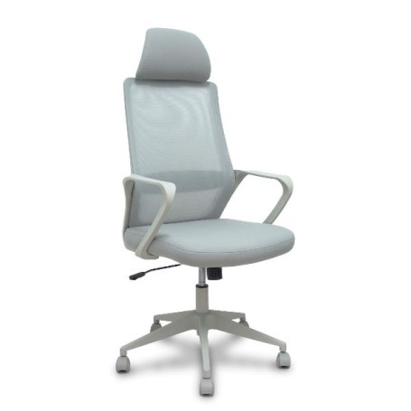 PRO534 RETE NE/TES NE/BR FIS/PT REG (534BGY00053PGRN)
