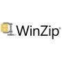 WINZIP ENT MAINT (1YR) ML 100-999 (LCWZENTMLMNT13)
