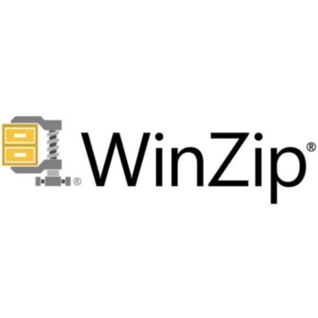 WINZIP 29 +1YR CORELSURE (2-49) (LCWZ30ENTML11)