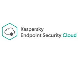 NEXT EDR FOUND 250-499 1Y SCCS (KL4065XATFG)