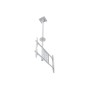 Multibrackets 2517 Supporto per display espositivi 177,8 cm (70") Bianco (MB2517)