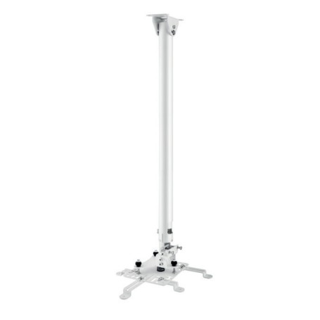 Hagor HA BDH supporto per proiettore Soffitto Acciaio inossidabile (5808)