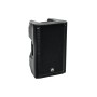 Omnitronic 11038795 altoparlante 2-vie Nero Con cavo e senza cavo 300 W (11038795)