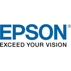 Epson UltraChrome GS3 Metallic Silver T45LB00 (500ml) (C13T45LB00)