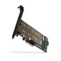 Axagon PCEM2-D scheda di interfaccia e adattatore Interno M.2, SATA (PCEM2-D)