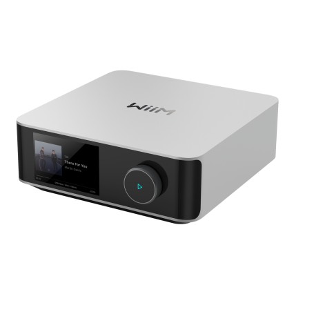 WiiM Amp Ultra 2.0 canali Multiuso Argento (LPWIAMPULS)