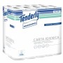 CF30ROT CARTA IGIEN TENDERLY 160STR (811911U)