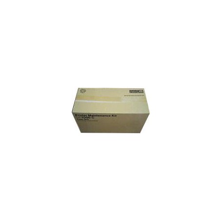 Ricoh Fusing Unit rullo 100000 pagine (400569)