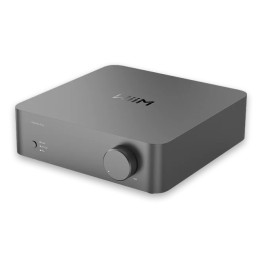 WiiM Vibelink Amp 1.0 canali Multiuso Grigio (LPWIVIAMP)