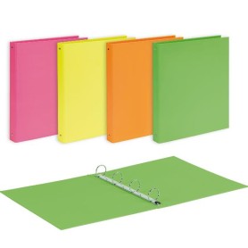 CF10 RACC. NEON CARTONE D30 ASS (400198082)