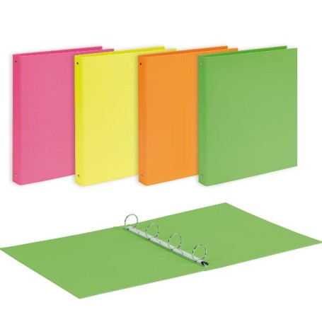 CF10 RACC. NEON CARTONE D30 ASS (400198082)