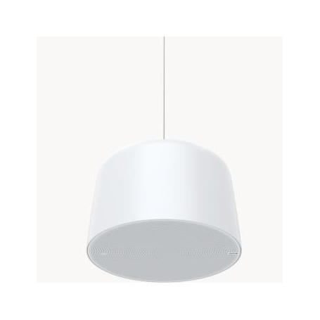 Axis 02389-001 altoparlante 1-via Bianco Cablato