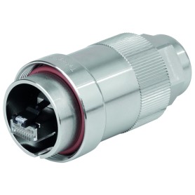 Telegärtner J60026A0000 cavo di collegamento TOC plug Acciaio