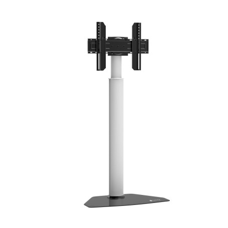 Techly Supporto da Pavimento per TV da 32" a 65" (ICA-TR51)
