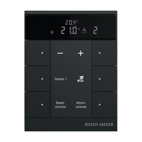 Busch-Jaeger A251381A-A-03 non classificato (2CKA006220A0900)