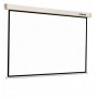 Reflecta Crystal-Line Rollo lux 160 x 160 schermo per proiettore 1:1 (87660)