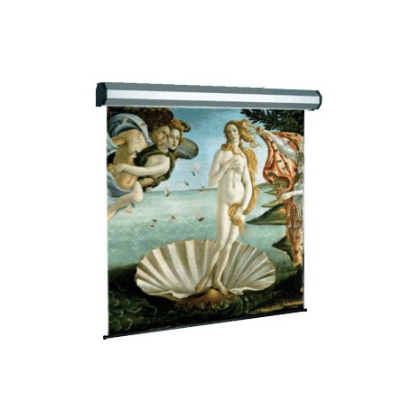 Sopar Electric professional schermo per proiettore 3,07 m (121") 1:1 (5352HT)