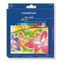 Staedtler 243 NC24 pastello 24 pz (243 NC24)