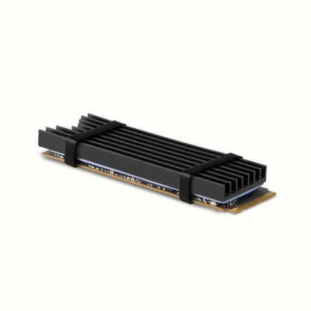 Axagon CLR-M2L6 sistema di raffreddamento per computer M.2 NVMe SSD, Unità allo stato solido Dissipatore di calore/Radiatore Ne