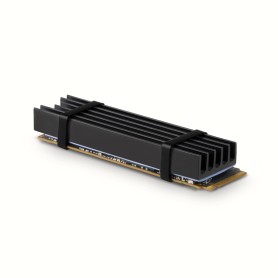 Axagon CLR-M2L10 sistema di raffreddamento per computer M.2 NVMe SSD, Unità allo stato solido Dissipatore di calore/Radiatore N