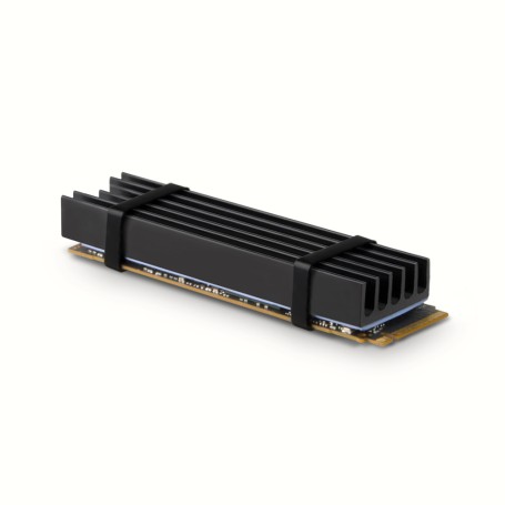Axagon CLR-M2L10 sistema di raffreddamento per computer M.2 NVMe SSD, Unità allo stato solido Dissipatore di calore/Radiatore N