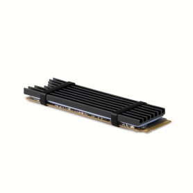 Axagon CLR-M2L3 sistema di raffreddamento per computer M.2 NVMe SSD, Unità allo stato solido Dissipatore di calore/Radiatore Ne