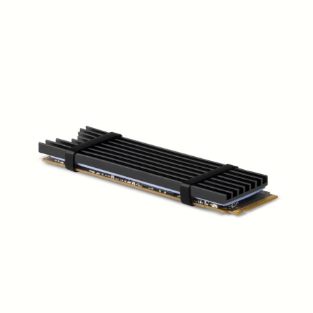 Axagon CLR-M2L3 sistema di raffreddamento per computer M.2 NVMe SSD, Unità allo stato solido Dissipatore di calore/Radiatore Ne