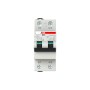 ABB DS202CR B16 A30 interruttore automatico Dispositivo a corrente residua 2 (2CSR752140R1165)