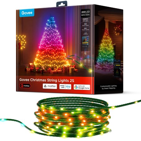 Govee H80C4 Stringa di luci intelligenti Wi-Fi/Bluetooth 15 W (H80C4C42)