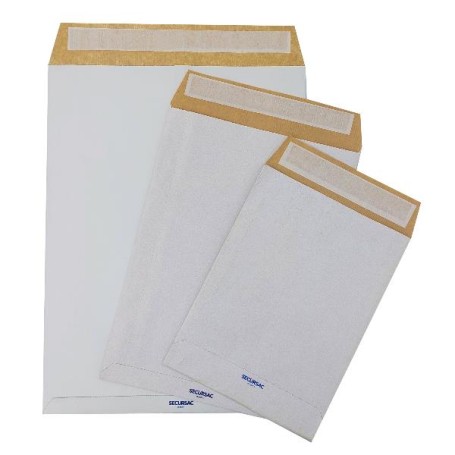 CF100 SACCHETTI SECURSAC 25X35 (0942)