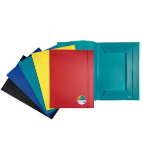 CF12 CARTELLA 3 LEMBI PP A3 ASSORTI (P0000390)