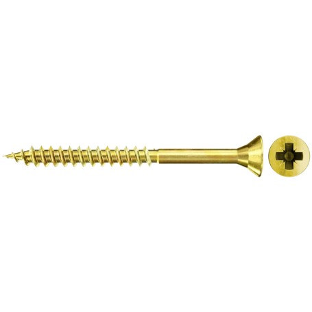 Fischer 551238 giravite e bullone 100 mm 100 pz Vite