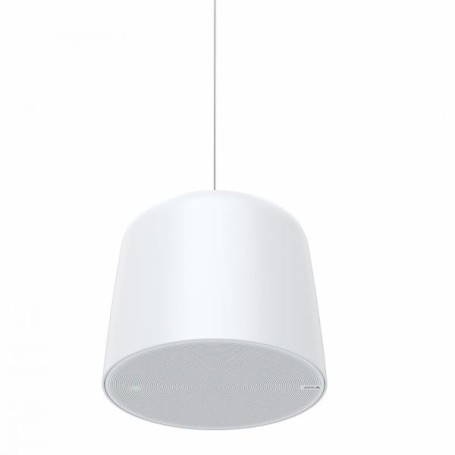 AXIS C1511 NETWORK PENDANT SPEAKER (02390-001)