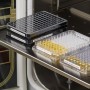 Brady 143049 Bianco Etichetta per stampante autoadesiva