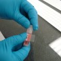 Brady 116372 etichetta autoadesiva Rettangolo Permanente Bianco 1500 pz