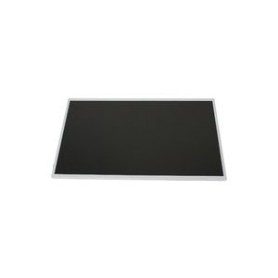 IBM 46L2348 ricambio per laptop Display