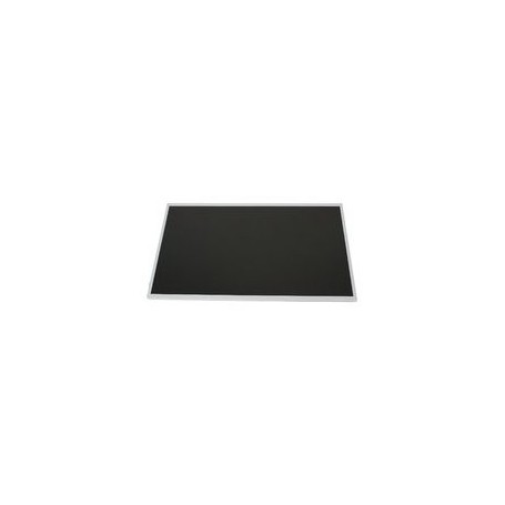 IBM 46L2348 ricambio per laptop Display