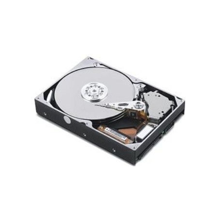 Lenovo 04W4483 disco rigido interno 320 GB 5400 Giri/min SATA