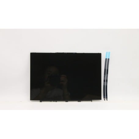 Lenovo LCD ModuleL82MSW/glue*0.2g (5D10S39704)