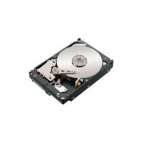 IBM HDD 750GB (04Y1098)