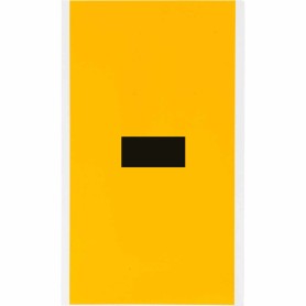 Brady 1570-DSH etichetta autoadesiva Rettangolo Permanente Nero, Giallo 1 pz (097596)