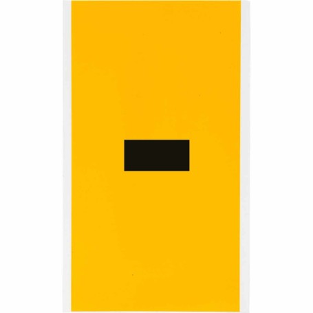 Brady 1570-DSH etichetta autoadesiva Rettangolo Permanente Nero, Giallo 1 pz (097596)