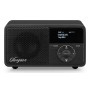 Sangean DDR-7X Personale Digitale Argento (A500497)