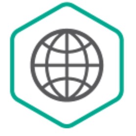 Kaspersky Lab Security for Internet Gateway, 50-99u, 1Y, Base Licenza base 1 anno/i (KL4413XAQFS)