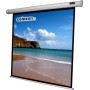 Celexon 1090068 schermo per proiettore 1:1 (1090068)