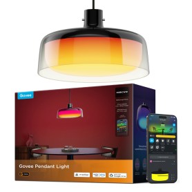 Govee Pendant Light Lampada a soffitto intelligente Wi-Fi/Bluetooth (H60C13F1)