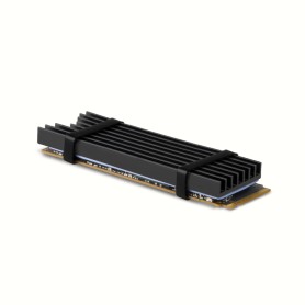 Axagon CLR-M2L6 sistema di raffreddamento per computer M.2 NVMe SSD, Unità allo stato solido Dissipatore di calore/Radiatore Ne